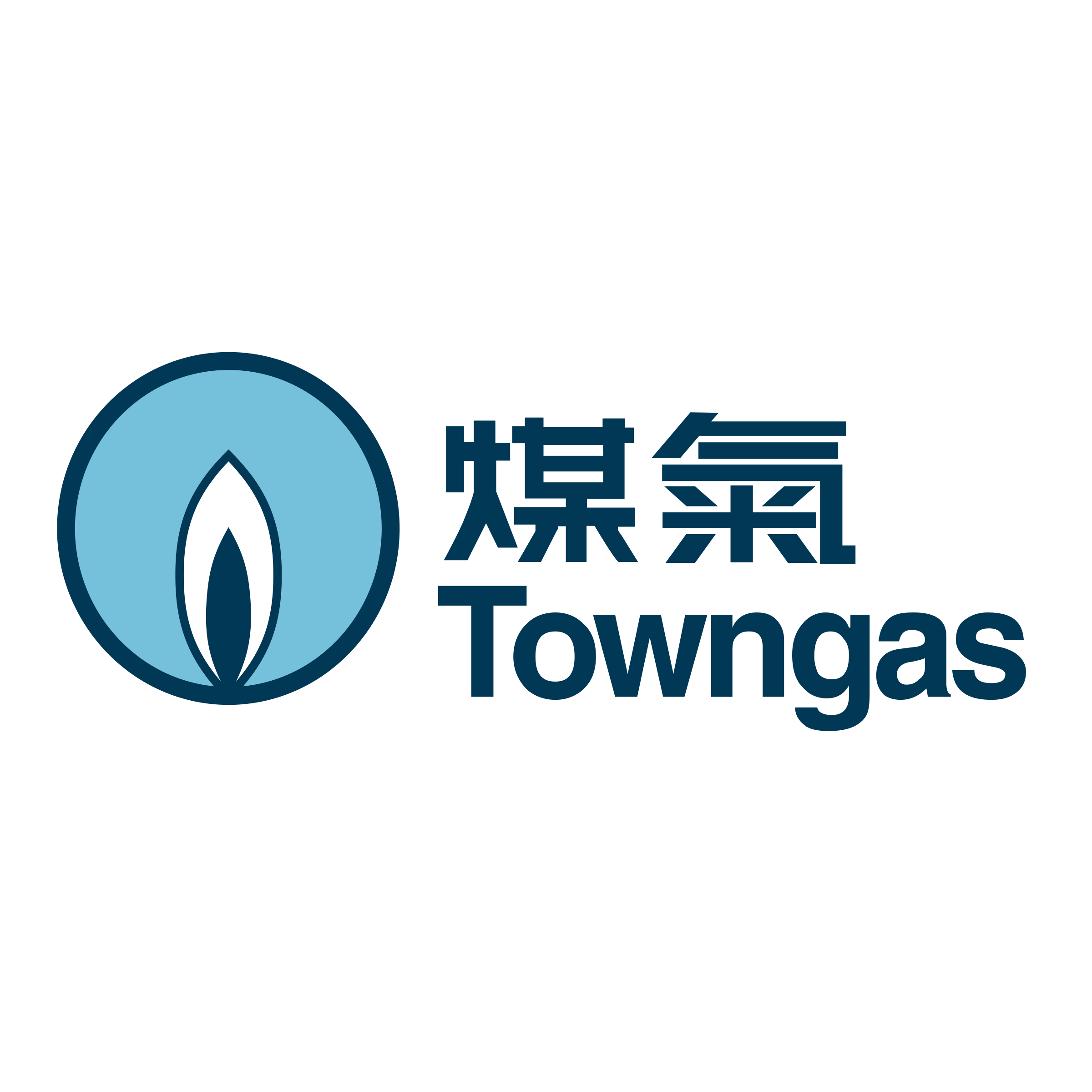 Towngas – Digital Customer Engagement Project